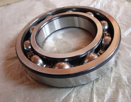 bearing 6204 TNH/C4